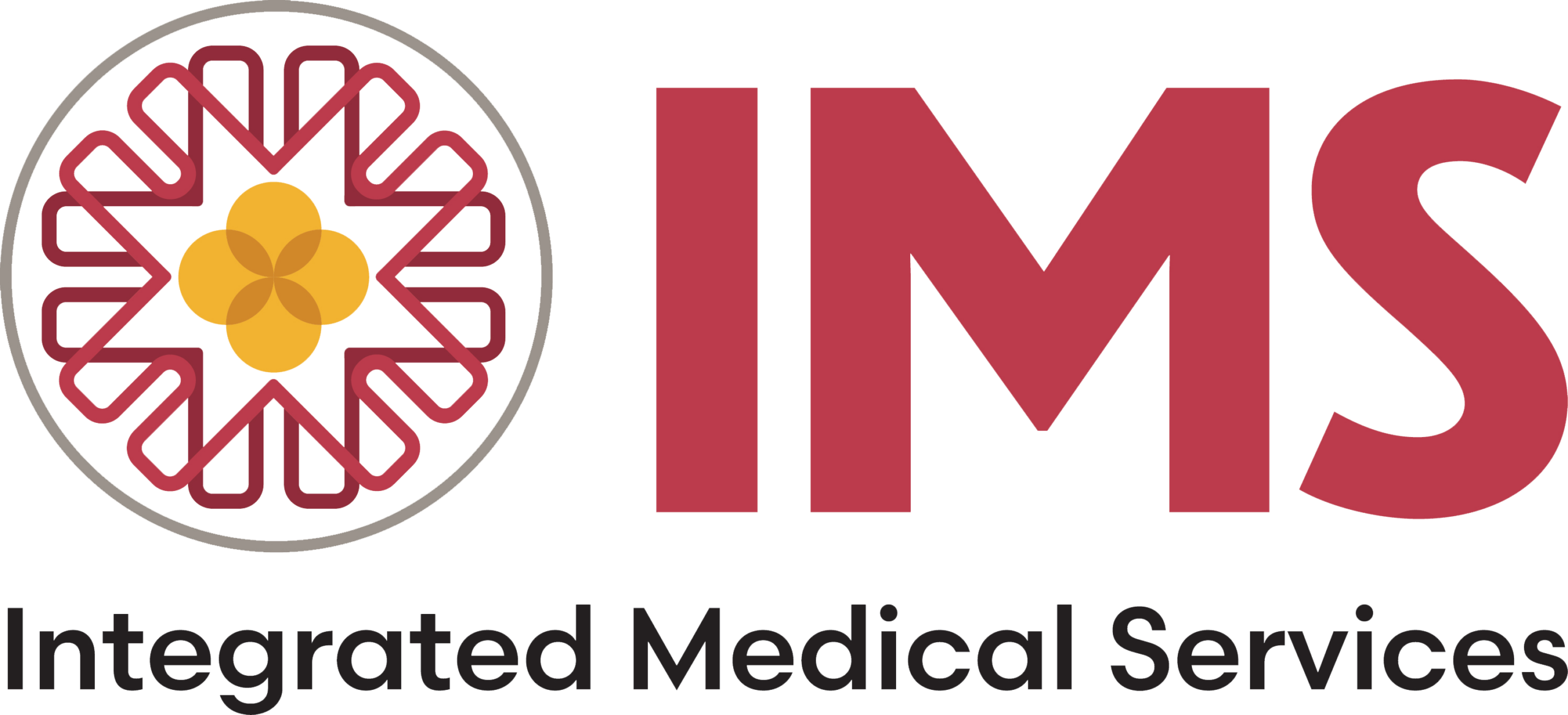IMS Logo Transparent